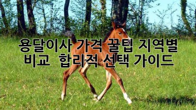 용달이사 가격 꿀팁🍯: 지역별 비교 & 합리적 선택 가이드