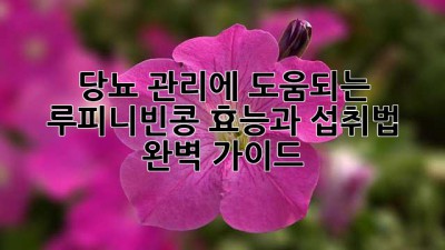 당뇨 관리에 도움되는 루피니빈콩 효능과 섭취법 완벽 가이드